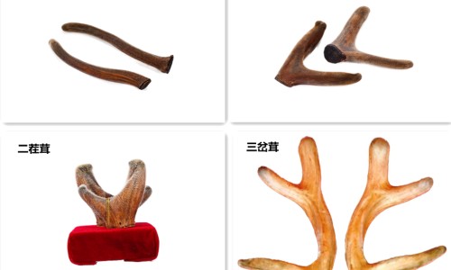 鹿鞭膏-鹿鞭膏服用期间能同房吗、鹿鞭膏有什么作用 -鹿鞭膏服用期间网